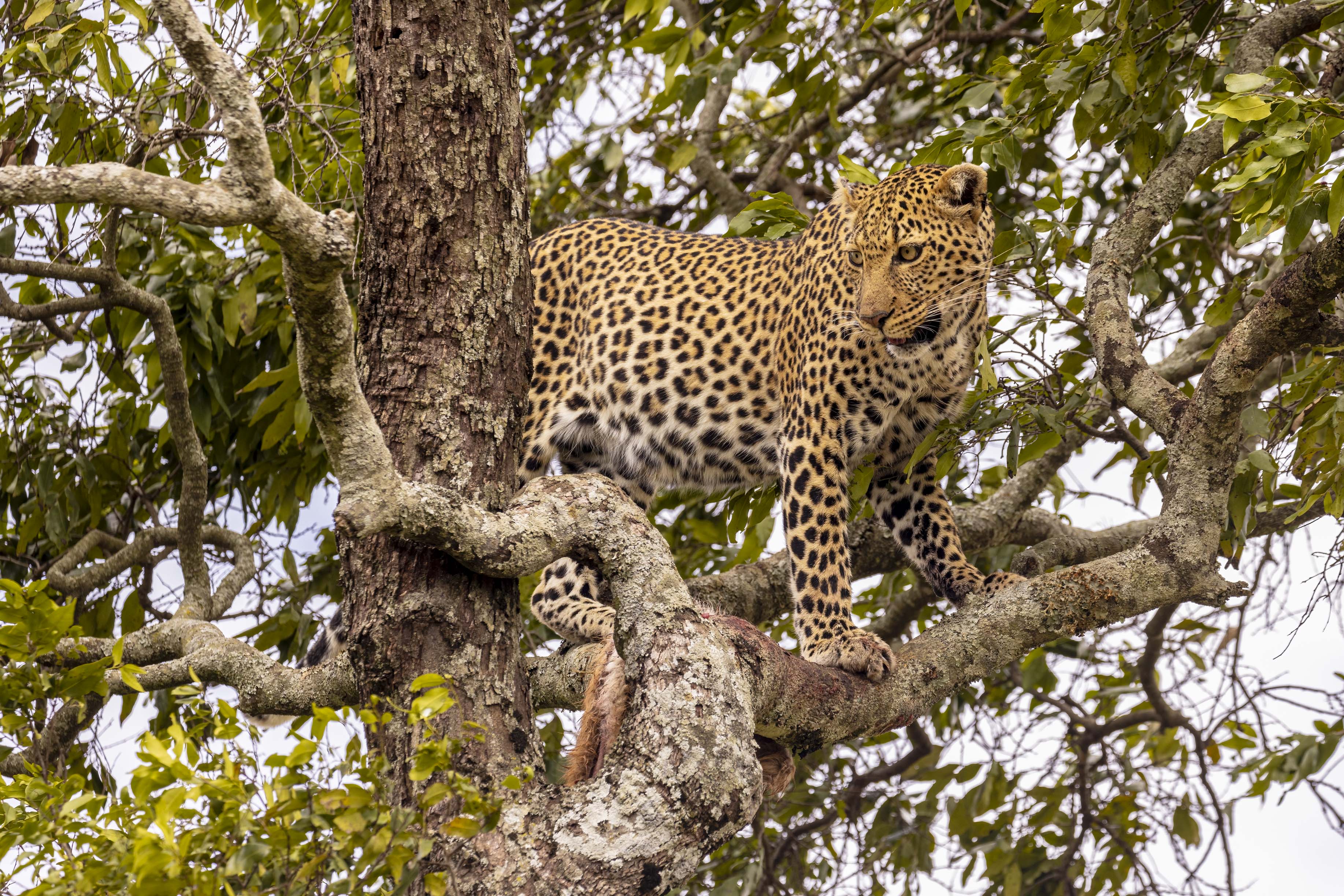 November 14, 2022-131922-2-Edit.jpg